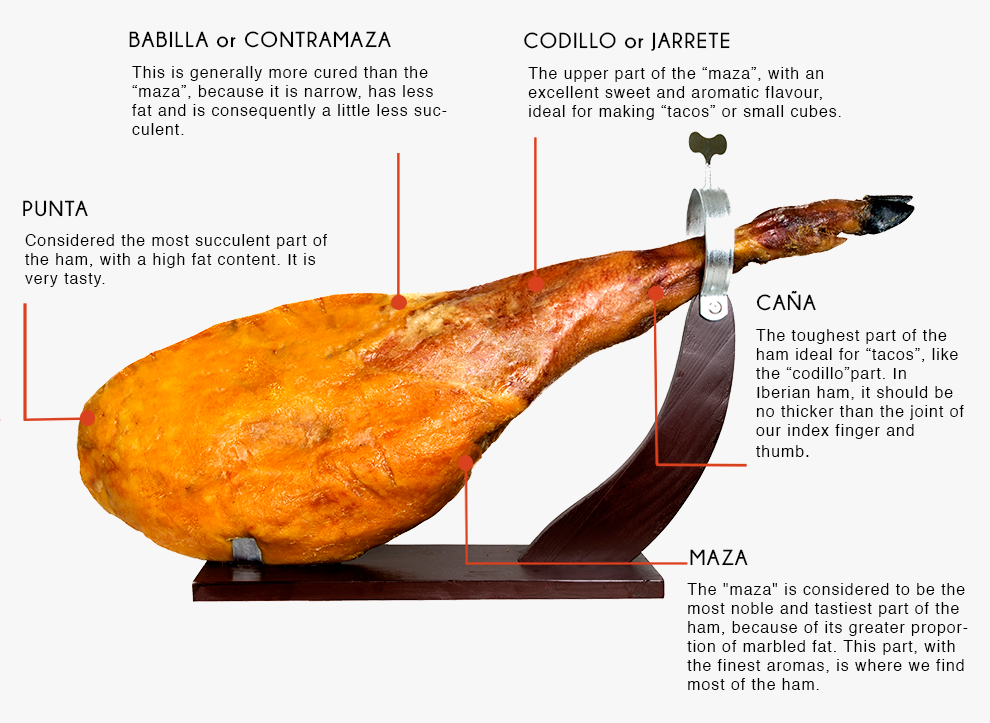 partes-jamon-en.png